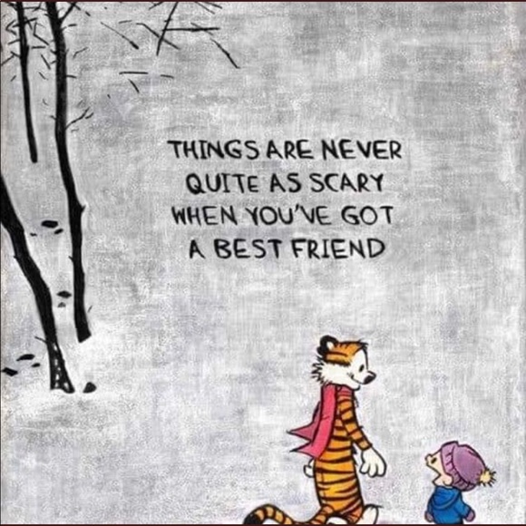 Meet your Posher, Joshua - Picture 8 of 8